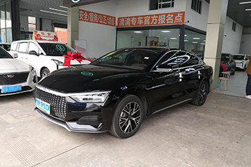 BYD e9
